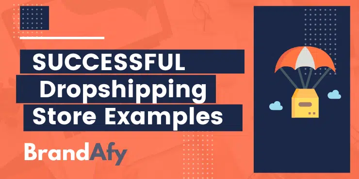 successful dropshipping store examples