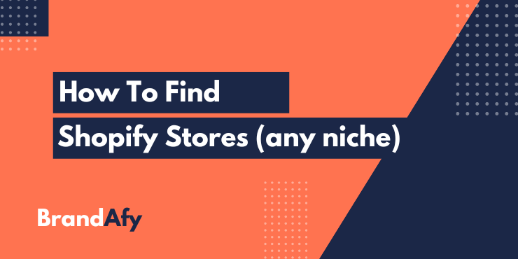 Find Shopify Stores Any Niche