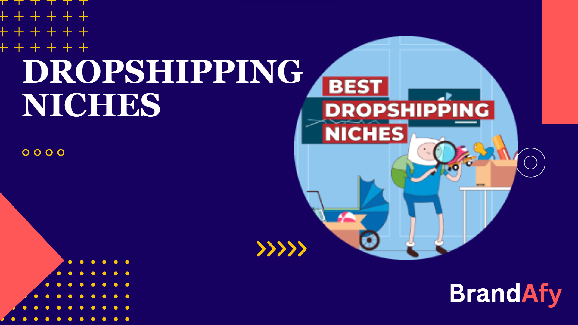 Top 11 Dropshipping Niches Niches to sell and to avoid Brandafy