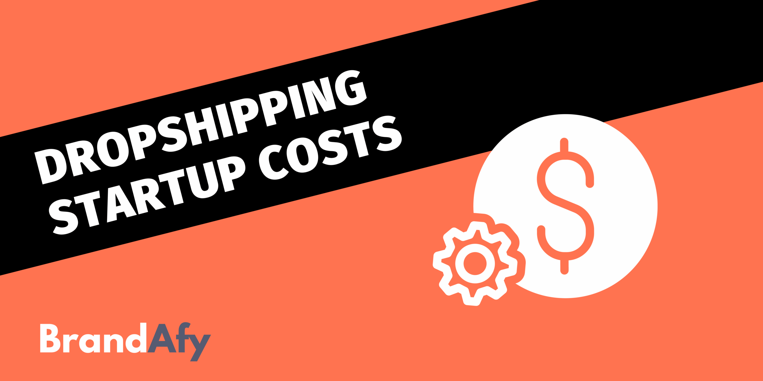 dropshipping startup costs